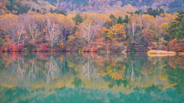 Scenic Autumn Nikko Japan Colorful Trees Green Pond Mirror Water — Stock Photo, Image