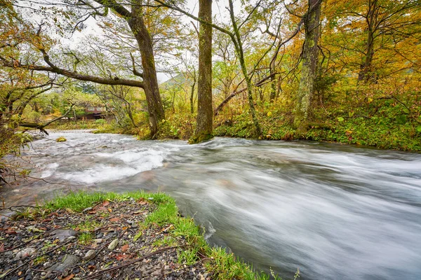 Landschaft Von Kamikochi Herbst Mit Fluss Des Baches Vorbei Den — Stockfoto