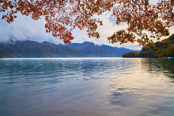 Nikko Landscape Lake Chuzenji Red Maple Tree Fog Morning View — Stock Photo, Image