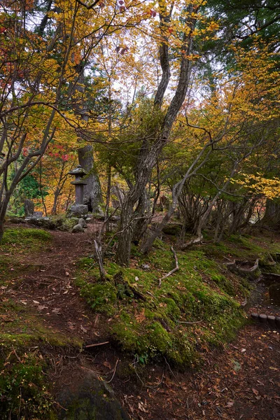 Syksyllä Värikkäitä Puita Nikossa Japanissa Trevel Kausi Lokakuu — kuvapankkivalokuva