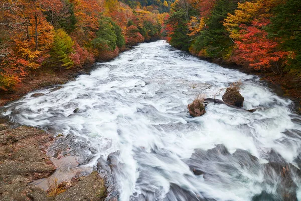 Landschaft Der Strömung Herbst Nikko Reisezeit Mit Bunten Bäumen Und — Stockfoto