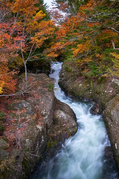 Buntes Blatt Und Unsichtbarer Wasserfall Nikko Zur Herbstzeit — Stockfoto