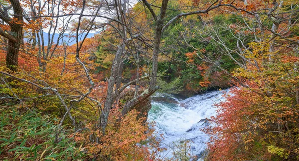 Panoramablick Auf Ryuzu Wasserfall Obere Ebene Mit Herbst Buntes Blatt — Stockfoto