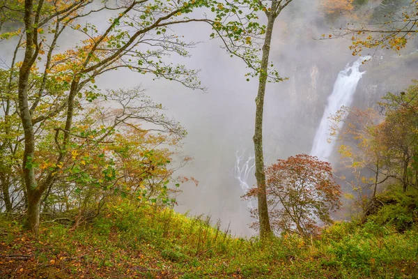 Landschaft Des Kegon Wasserfalls Herbst Nikko Mit Bunten Blätterbäumen — Stockfoto