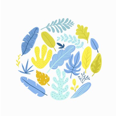 Yeşil bitkiler, egzotik yaprakları.