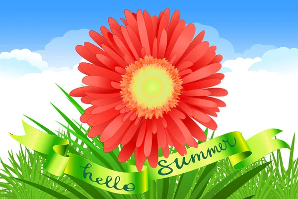 Hallo Zomer Letteren Realistische Gerbera Bloem Zomer Achtergrond Ontwerp Voor — Stockfoto