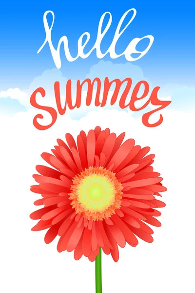 Olá Summer Lettering Realistic Gerbera Flower Design Fundo Verão Para — Fotografia de Stock