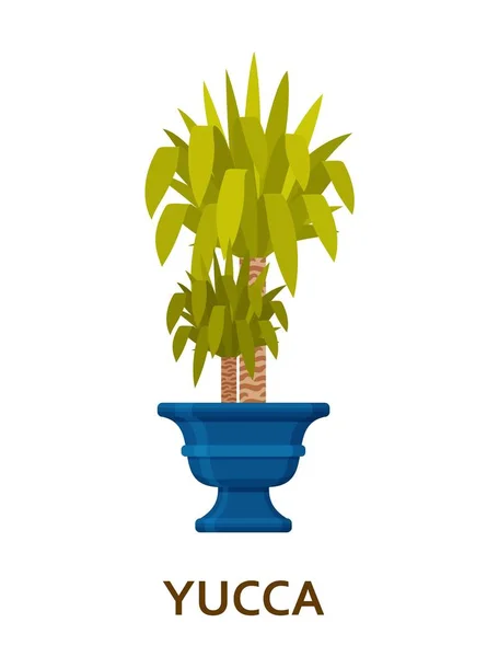 Yucca. Planta de interior decorativa en maceta. Floristería árbol interior o maceta interior. Ilustración vectorial — Vector de stock