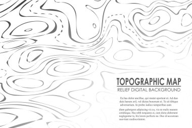 Topografik harita kontur arka plan. Yükselmesi ile çizgi haritası. Coğrafi dünya topografik harita kılavuz soyut