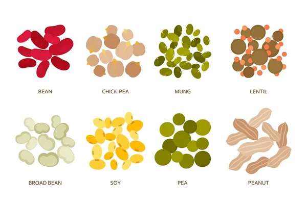 Legumes beans set in flat style isolated — Stock Vector