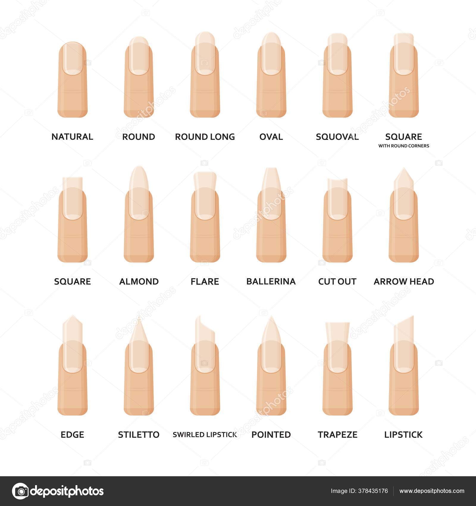 Different shapes of nails set. Collection of fashion female nail forms. Professional manicure. Vector illustration. Stock Vector Image by ©klerik78 #378435176 Different shapes of nails set. Collection of fashion female nail forms. Professional manicure. Vector illustration. Stock Vector Image by ©klerik78 #378435176