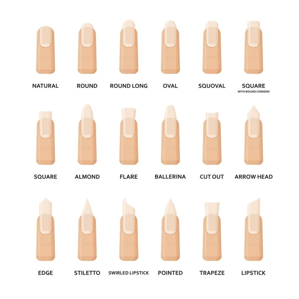 Verschillende vormen van nagels ingesteld. Collectie van mode vrouwelijke nagel vormen. Professionele manicure. Vectorillustratie. — Stockvector