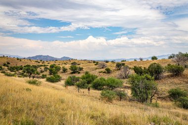 Tucson, Arizona 'nın yaklaşık 40 mil güneydoğusundaki Santa Rita Dağları, ABD' de bilinen tek vahşi jaguara ev sahipliği yapmaktadır..