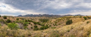 Tucson, Arizona 'nın yaklaşık 40 mil güneydoğusundaki Santa Rita Dağları, ABD' de bilinen tek vahşi jaguara ev sahipliği yapmaktadır..