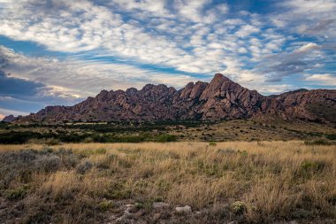 Dragoon Dağları, Arizona, Cochise County 'de tarihi Tombstone kasabası yakınlarında yer alan bir dağ silsilesidir..