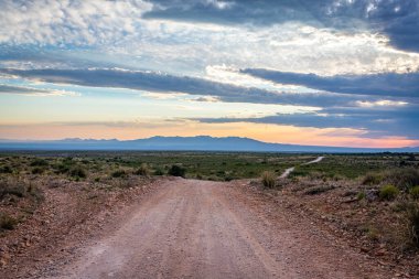 Dragoon Dağları, Arizona, Cochise County 'de tarihi Tombstone kasabası yakınlarında yer alan bir dağ silsilesidir..