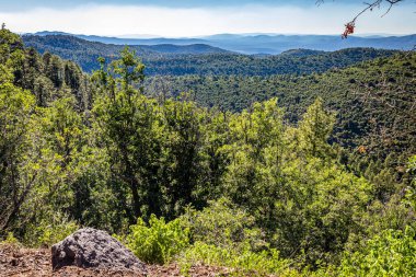 Coronado Trail Scenic Byway, Springerville ve Clifton, Arizona 'yı Apache-Sitgreaves Ulusal Ormanı' na bağlıyor..
