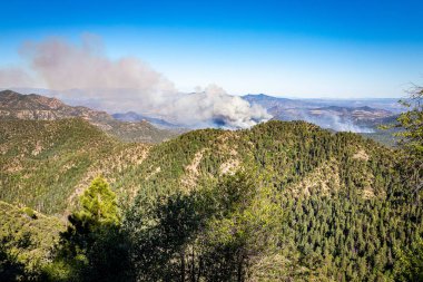 Coronado Trail Scenic Byway, Springerville ve Clifton, Arizona 'yı Apache-Sitgreaves Ulusal Ormanı' na bağlıyor..