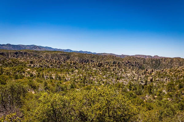 Chiricahua National Monument Beschikt Bijna 000 Hectare Rhyoliet Toppen Sommige — Stockfoto