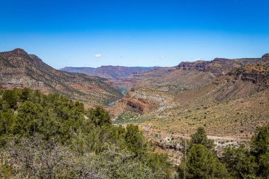 Salt River Canyon Wilderness, Amerika Birleşik Devletleri 60. Otoyol tarafından ikiye bölünmüş Globe ve Show Low, Arizona arasında popüler bir yürüyüş ve kataloğu..