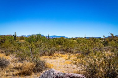Arizona Eyaleti Rout 88 boyunca çöl manzarası. Apaçi Patikası olarak bilinen eski bir posta arabası rotası..