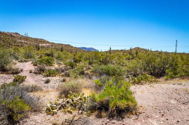 Arizona Eyaleti Rout 88 boyunca çöl manzarası. Apaçi Patikası olarak bilinen eski bir posta arabası rotası..