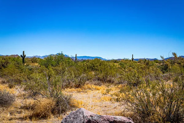 Arizona Eyaleti Rout 88 boyunca çöl manzarası. Apaçi Patikası olarak bilinen eski bir posta arabası rotası..