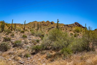 Arizona Eyaleti Rout 88 boyunca çöl manzarası. Apaçi Patikası olarak bilinen eski bir posta arabası rotası..