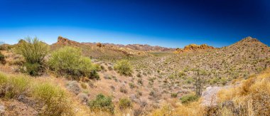 Arizona Eyaleti Rout 88 boyunca çöl manzarası. Apaçi Patikası olarak bilinen eski bir posta arabası rotası..