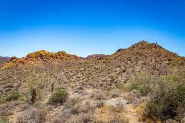 Arizona Eyaleti Rout 88 boyunca çöl manzarası. Apaçi Patikası olarak bilinen eski bir posta arabası rotası..
