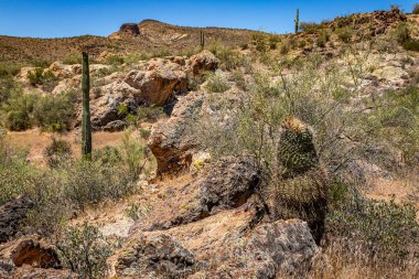 Arizona Eyaleti Rout 88 boyunca çöl manzarası. Apaçi Patikası olarak bilinen eski bir posta arabası rotası..