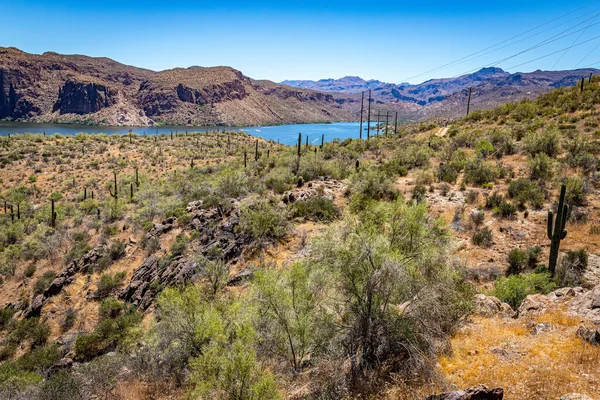 亚利桑那州88号州道沿线的沙漠景观 这条路线以前被称为阿帕奇路径 Apache Trail — 图库照片