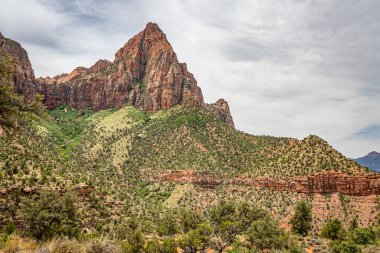 Gözcü Yolu, Utah 'taki Zion Ulusal Parkı' ndaki Gözcü Tepesi 'nde sona eren üç millik bir gidiş-dönüş yolu..