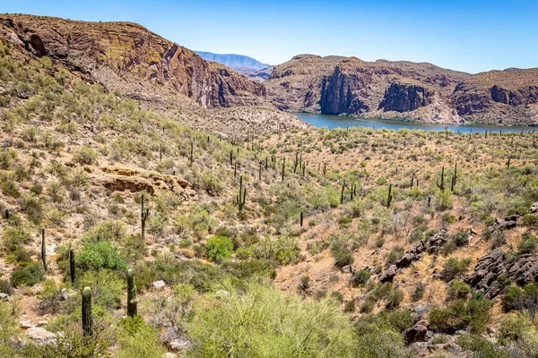 Vistas Desierto Largo Ruta Estatal Arizona Una Antigua Ruta Diligencia — Foto de Stock