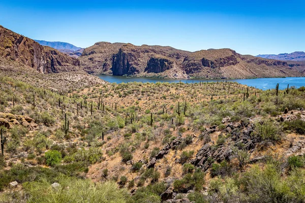 Vistas Desierto Largo Ruta Estatal Arizona Una Antigua Ruta Diligencia — Foto de Stock