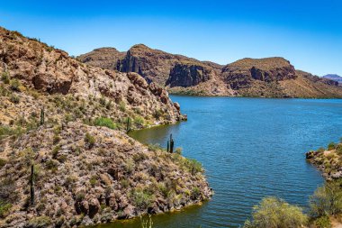 Arizona Eyaleti 88. karayolu boyunca çöl manzarası. Apaçi Patikası olarak bilinen eski bir posta arabası rotası..