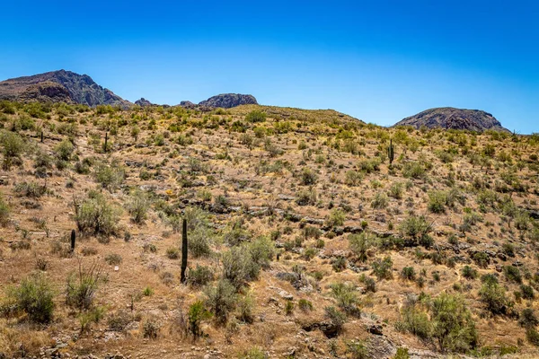 Desert views along Arizona State Route 88, a former stagecoach route known as the Apache Trail.