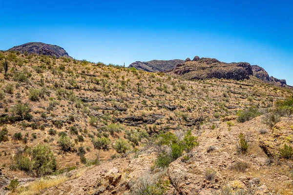 Öknen Utsikt Längs Arizona State Route Före Detta Diligens Rutt — Stockfoto