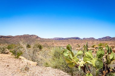 Arizona Eyaleti 88. karayolu boyunca çöl manzarası. Apaçi Patikası olarak bilinen eski bir posta arabası rotası..