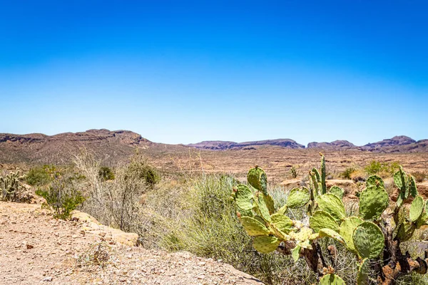Uitzicht Woestijn Langs Arizona State Route Een Voormalige Postkoets Route — Stockfoto