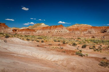 Toadstool Patikası yüzyıllar süren erozyon sonucu oluşan eşkıyalar ve dengeli kaya oluşumlarına yol açar ve Utah Kane County 'deki Büyük Merdiven-Escalante Ulusal Anıtı' nın bir parçasıdır..