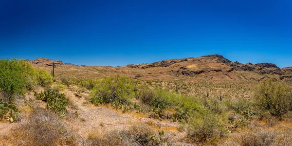 Wüstenansichten Entlang Der Arizona State Route Einer Ehemaligen Postkutschenroute Die — Stockfoto