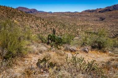 Arizona Eyaleti 88. karayolu boyunca çöl manzarası. Apaçi Patikası olarak bilinen eski bir posta arabası rotası..