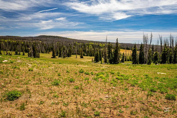 Cedar Breaks Ulusal Anıtı Utah Cedar Şehrinin 800 Metre Derinliğinde — Stok fotoğraf