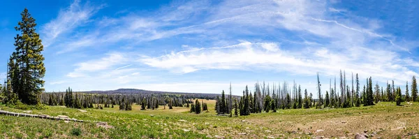 Národní Památník Cedar Breaks Přírodní Kaňon Amfiteátru Výšce Tří Tisíc — Stock fotografie