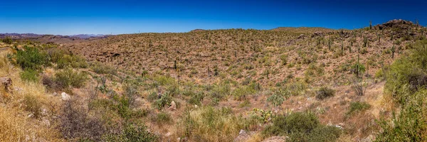 Vue Sur Désert Long Arizona State Route Une Ancienne Route — Photo