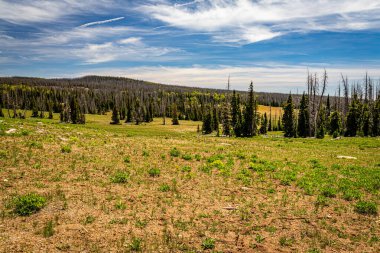 Cedar Breaks Ulusal Anıtı, Utah 'ın Cedar şehrinin 800 metre derinliğinde ve 3,500 metre genişliğinde doğal bir amfitiyatro kanyonudur..