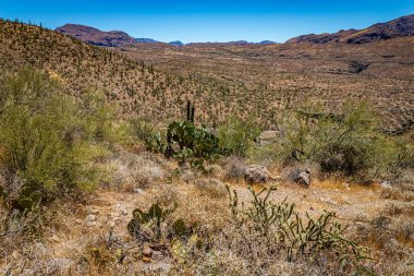 Arizona Eyaleti 88. karayolu boyunca çöl manzarası. Apaçi Patikası olarak bilinen eski bir posta arabası rotası..