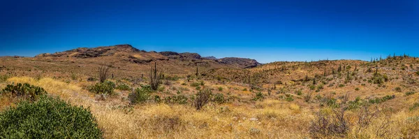 Uitzicht Woestijn Langs Arizona State Route Een Voormalige Postkoets Route — Stockfoto