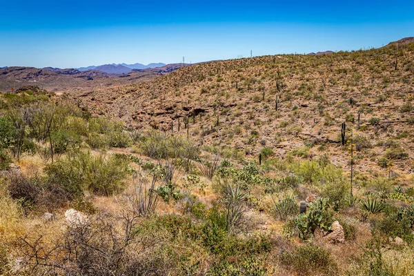 Desert views along Arizona State Route 88, a former stagecoach route known as the Apache Trail.